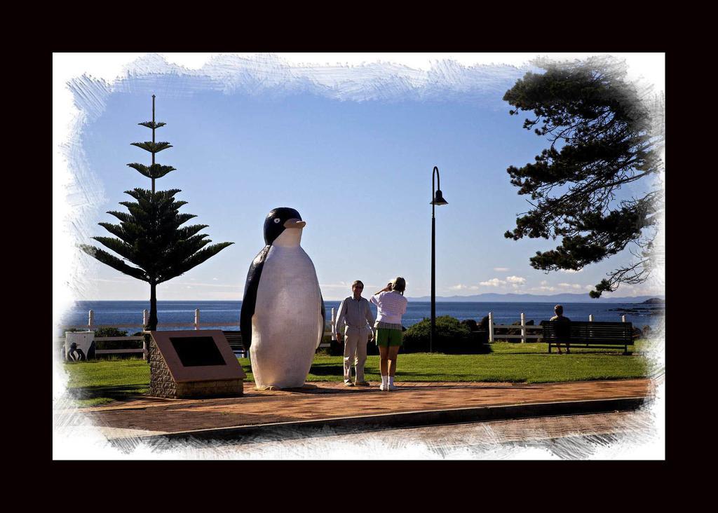 Penguin Beachfront Apartments מראה חיצוני תמונה